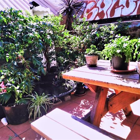 Asylum Sydney Backpackers Hostel Bagian luar foto