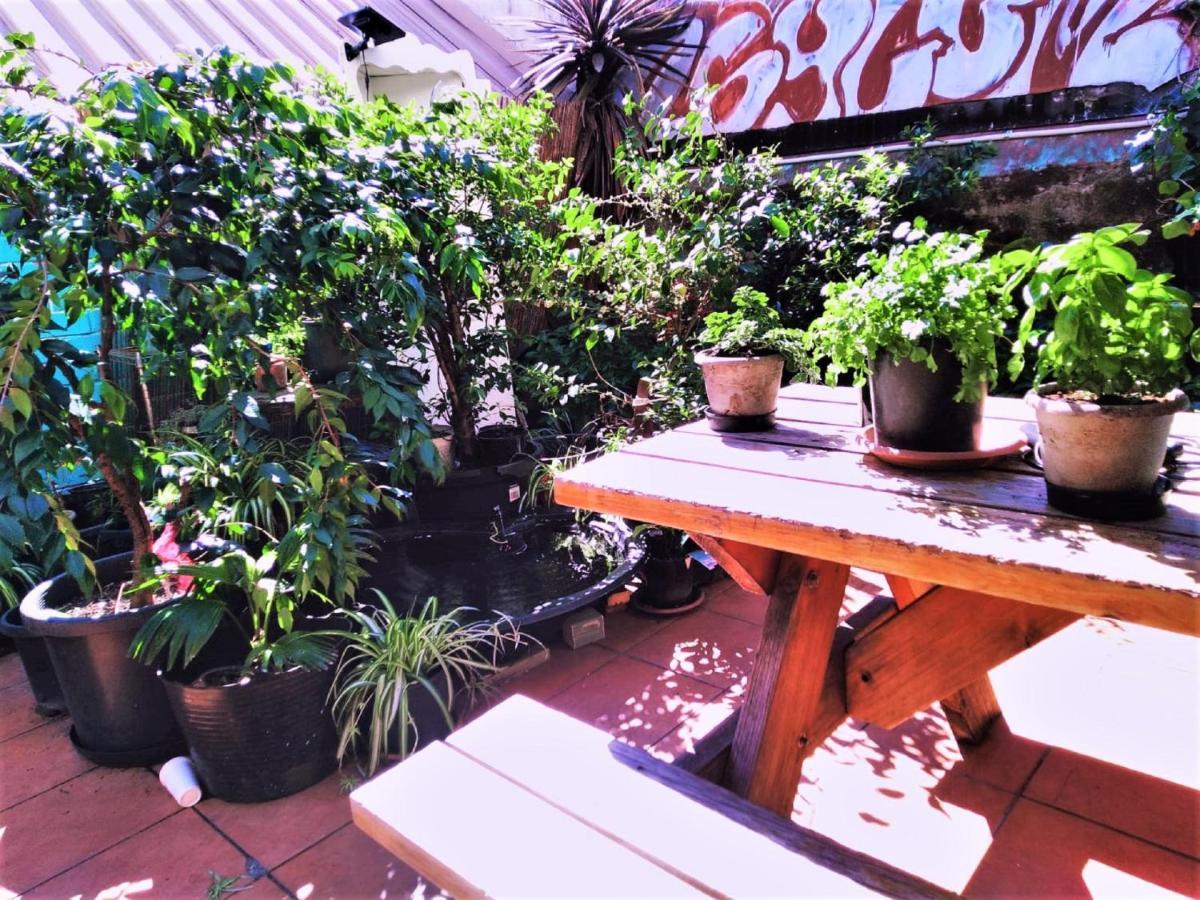 Asylum Sydney Backpackers Hostel Bagian luar foto