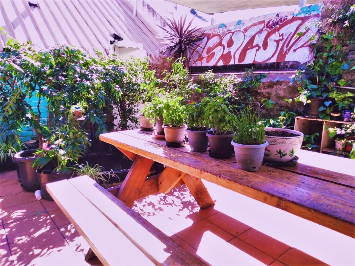 Asylum Sydney Backpackers Hostel Bagian luar foto