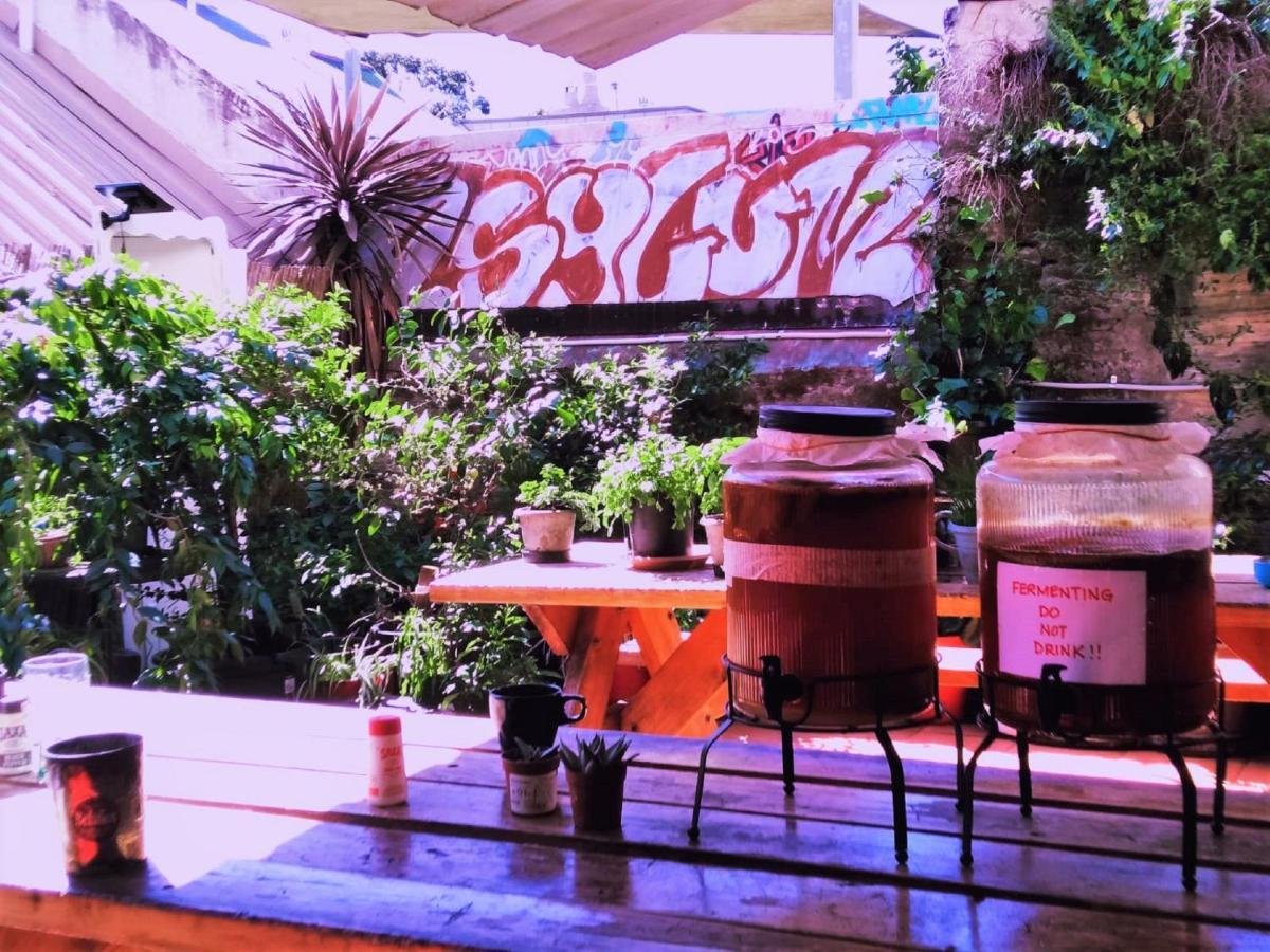 Asylum Sydney Backpackers Hostel Bagian luar foto